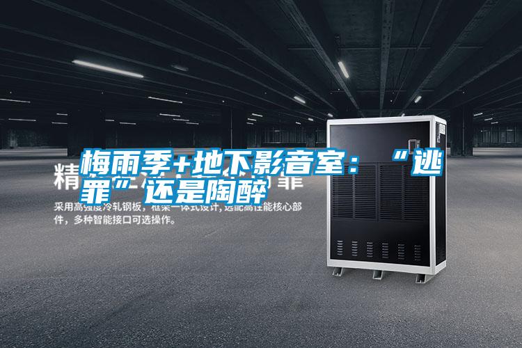 梅雨季+地下影音室：“逃罪”还是陶醉