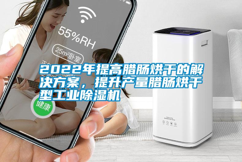 2022年提高腊肠烘干的解决方案，提升产量腊肠烘干型宝马电子游戏平台网址