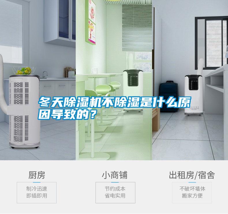 冬天除湿机不除湿是什么原因导致的？