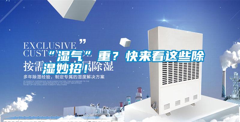 “湿气”重？快来看这些除湿妙招！