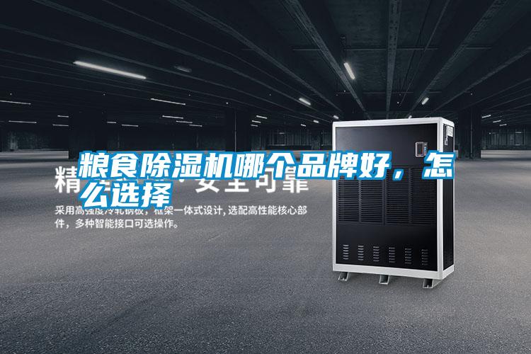 粮食除湿机哪个品牌好，怎么选择