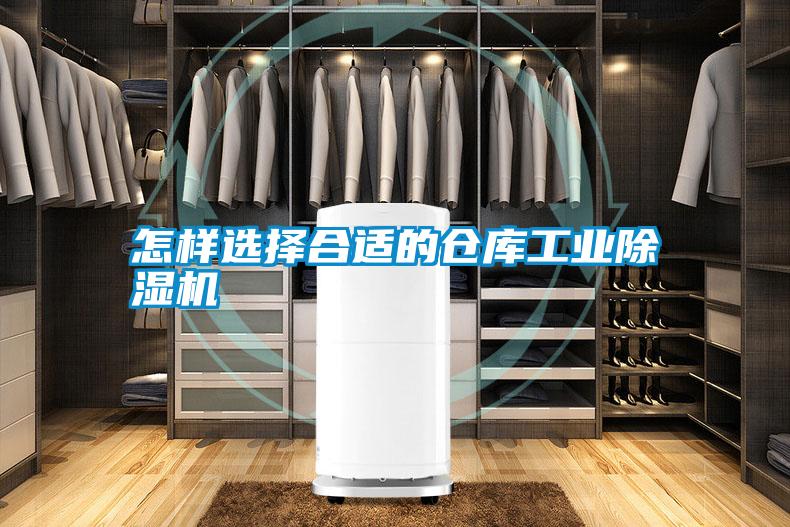 怎样选择合适的仓库宝马电子游戏平台网址