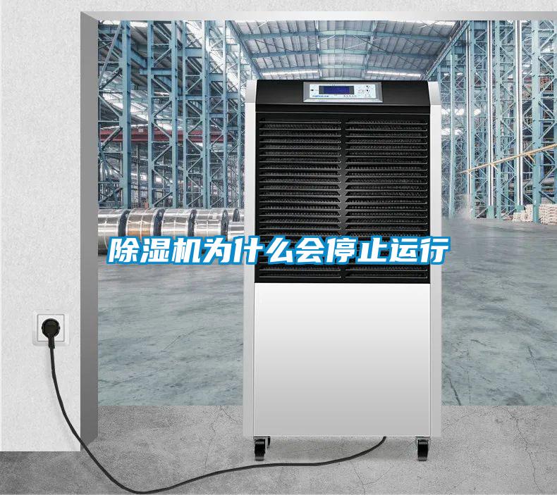 除湿机为什么会停止运行