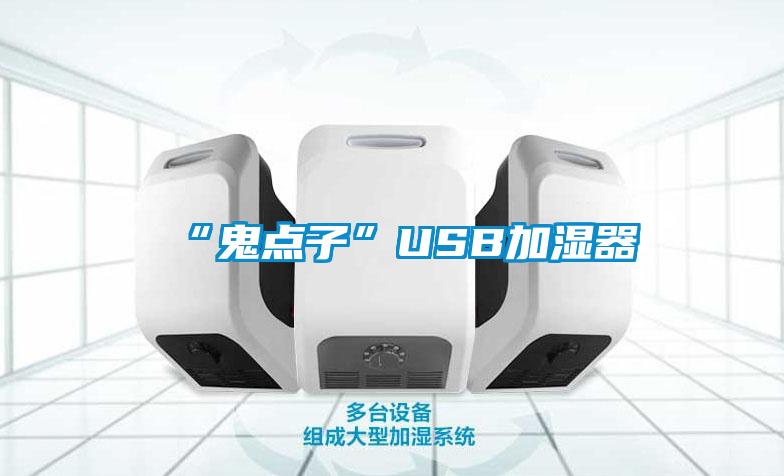 “鬼点子”USB加湿器