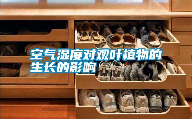 空气湿度对观叶植物的生长的影响