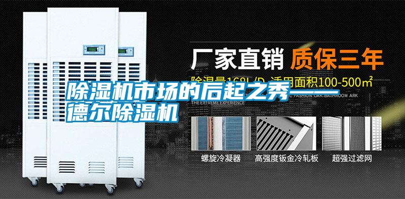 除湿机市场的后起之秀——德尔除湿机