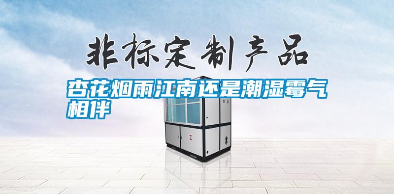 杏花烟雨江南还是潮湿霉气相伴