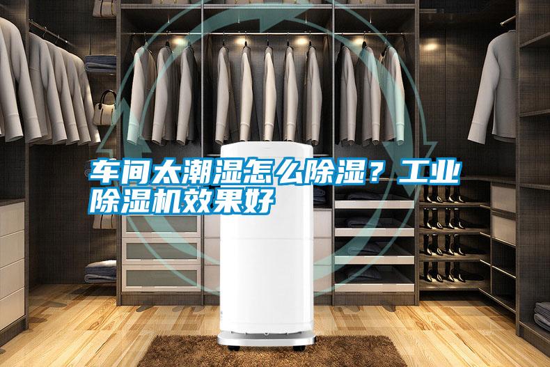 车间太潮湿怎么除湿？宝马电子游戏平台网址效果好