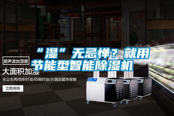 “湿”无忌惮？就用节能型智能除湿机