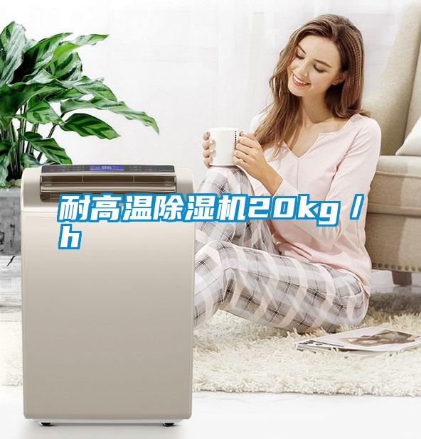 耐高温除湿机20kg／h