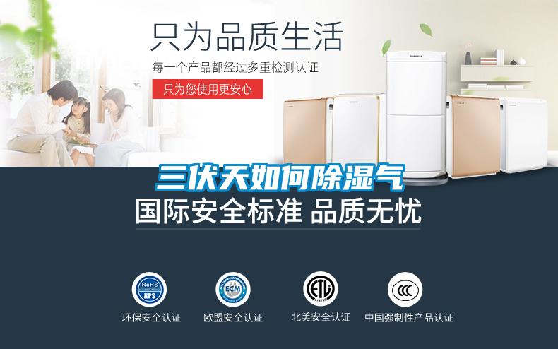 三伏天如何除湿气