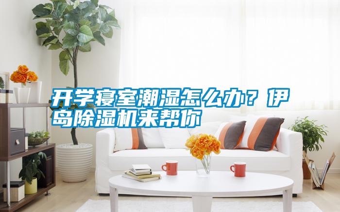 开学寝室潮湿怎么办？伊岛除湿机来帮你