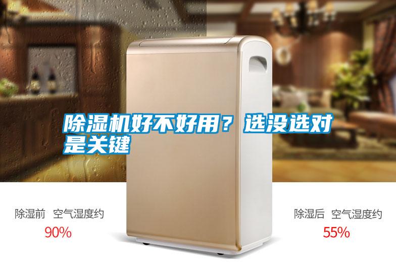 除湿机好不好用？选没选对是关键