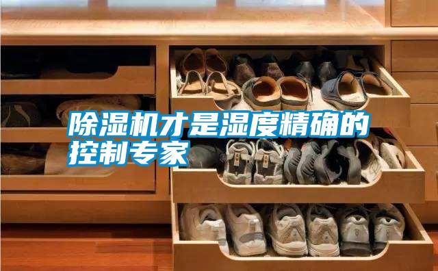 除湿机才是湿度精确的控制专家