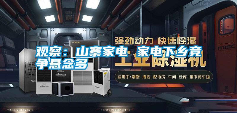 观察：山寨家电 家电下乡竞争悬念多