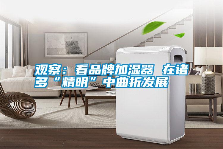 观察：看品牌加湿器 在诸多“精明”中曲折发展