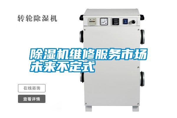 除湿机维修服务市场未来不定式