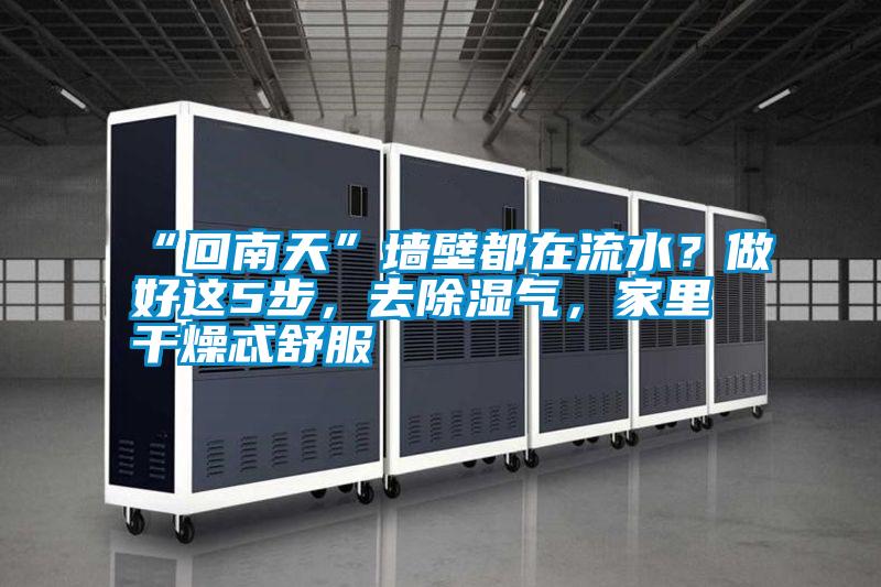 “回南天”墙壁都在流水？做好这5步，去除湿气，家里干燥忒舒服