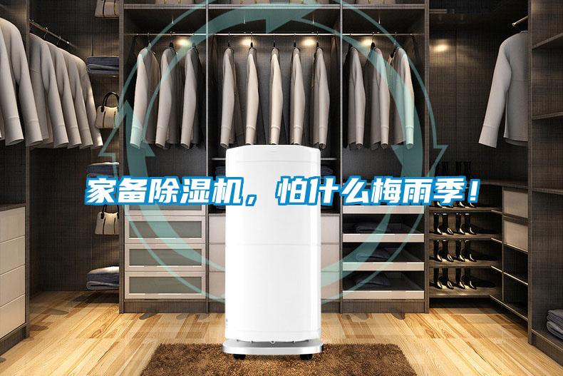 家备除湿机，怕什么梅雨季！