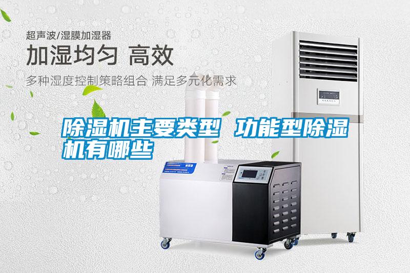 除湿机主要类型 功能型除湿机有哪些
