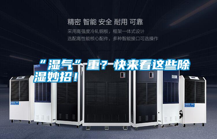 “湿气”重？快来看这些除湿妙招！