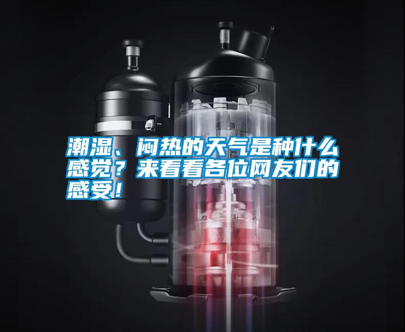 潮湿、闷热的天气是种什么感觉？来看看各位网友们的感受！