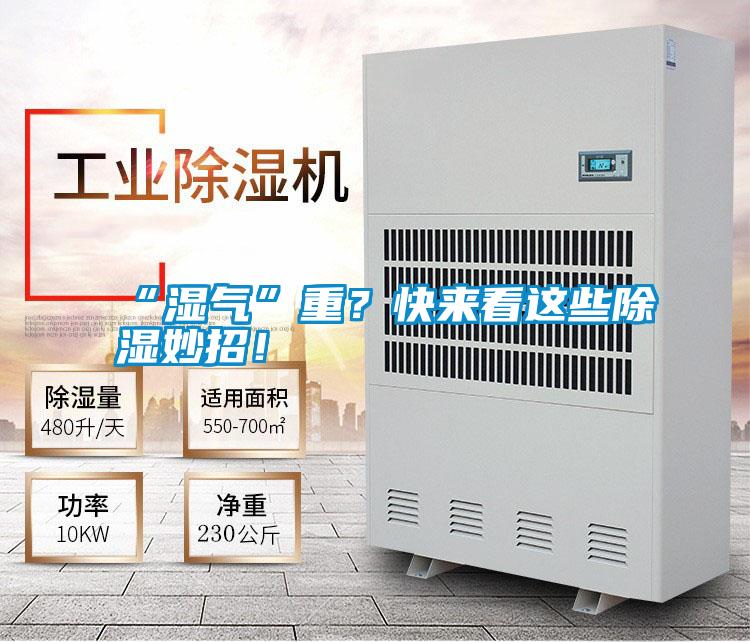 “湿气”重？快来看这些除湿妙招！