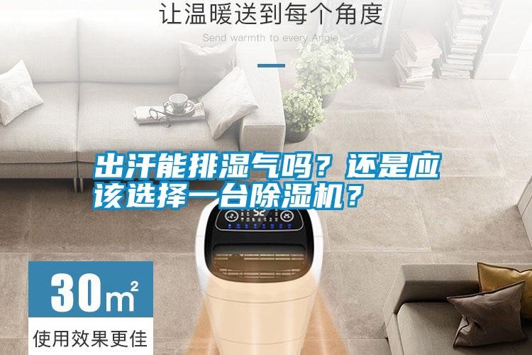 出汗能排湿气吗？还是应该选择一台除湿机？