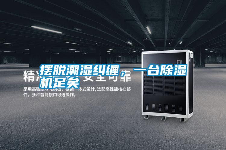 摆脱潮湿纠缠，一台除湿机足矣