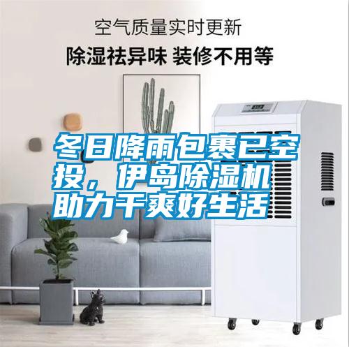 冬日降雨包裹已空投，伊岛除湿机助力干爽好生活