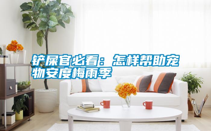 铲屎官必看：怎样帮助宠物安度梅雨季