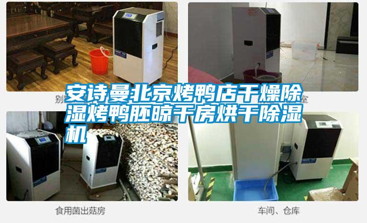 摆脱电子游戏大奖视频北京烤鸭店干燥除湿烤鸭胚晾干房烘干除湿机