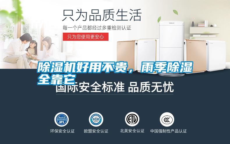 除湿机好用不贵，雨季除湿全靠它