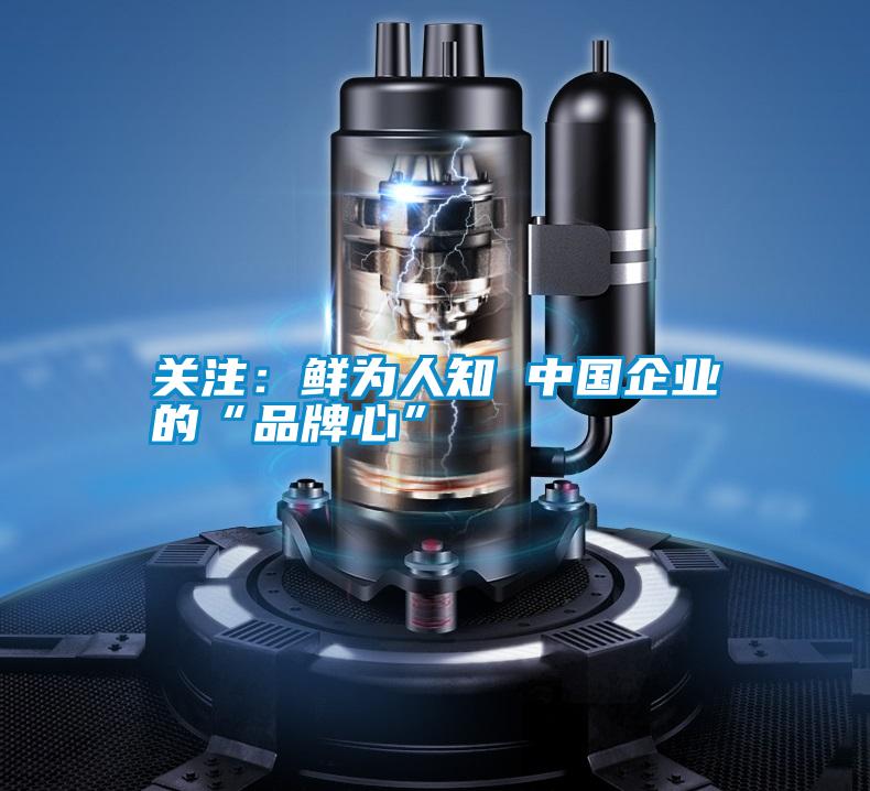 关注：鲜为人知 中国企业的“品牌心”