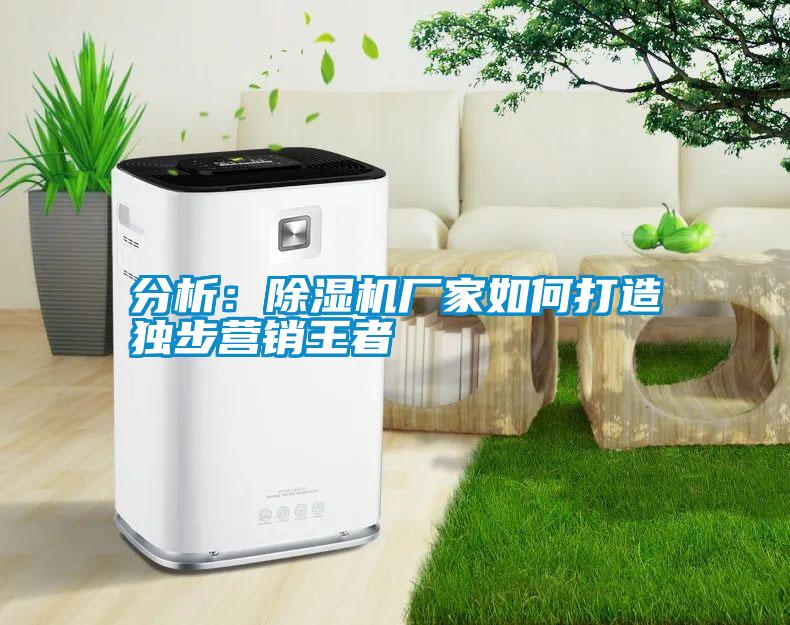 分析：宝马电子游戏娱乐如何打造独步营销王者