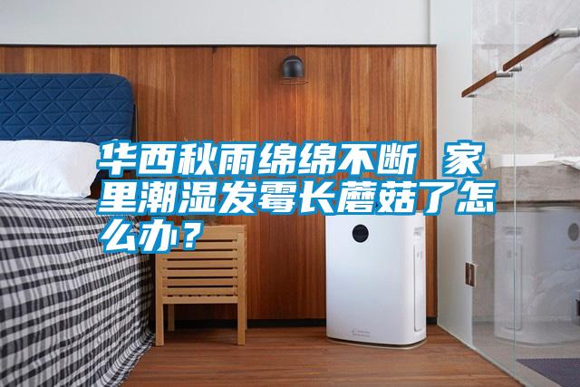 华西秋雨绵绵不断 家里潮湿发霉长蘑菇了怎么办？