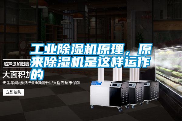 宝马电子游戏平台网址原理，原来除湿机是这样运作的