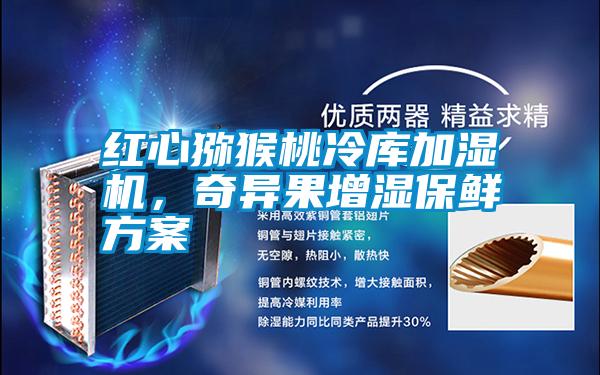红心猕猴桃冷库加湿机，奇异果增湿保鲜方案