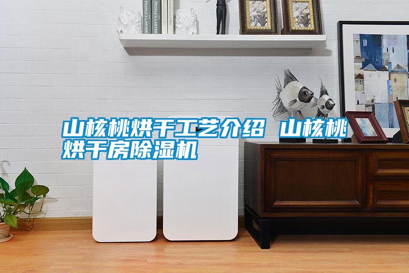 山核桃烘干工艺介绍 山核桃烘干房除湿机