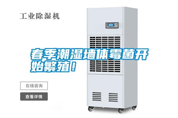 春季潮湿墙体霉菌开始繁殖！