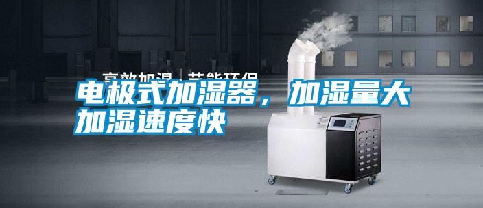 电极式加湿器，加湿量大加湿速度快