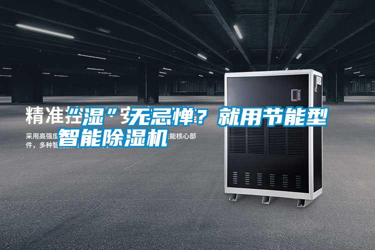 “湿”无忌惮？就用节能型智能除湿机