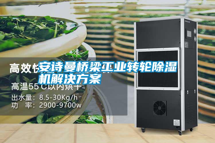 摆脱电子游戏大奖视频桥梁工业转轮除湿机解决方案