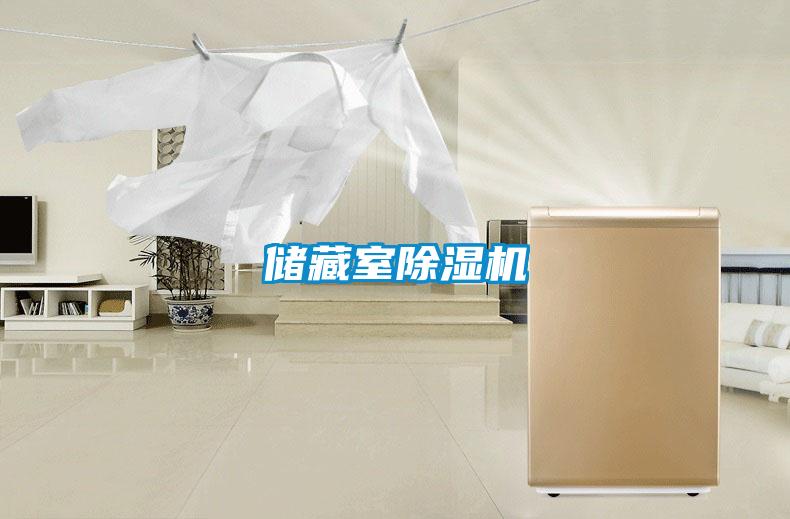 储藏室除湿机