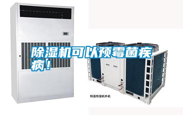 除湿机可以预霉菌疾病！