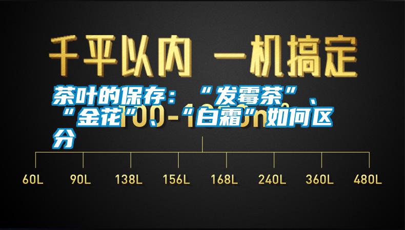 茶叶的保存：“发霉茶”、“金花”、“白霜”如何区分