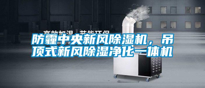 防霾中央新风除湿机，吊顶式新风除湿净化一体机
