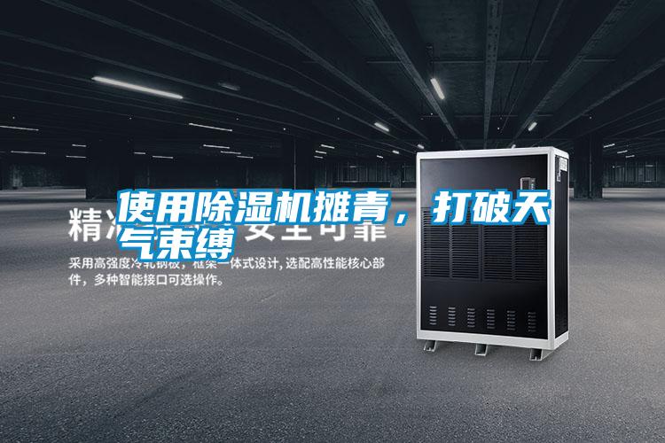 使用除湿机摊青，打破天气束缚