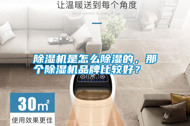 除湿机是怎么除湿的，那个除湿机品牌比较好？