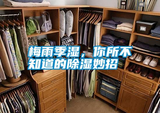 梅雨季湿，你所不知道的除湿妙招